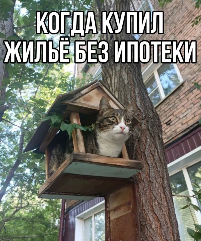 Новосибирцы могут накопить на свое жилья за 32 года
