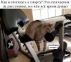 150 ����� � ������: ������� ����� ��������� ������������, ����� �� ������