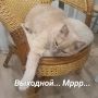 Первый выходной прошел. Но впереди ещё два! Спокойной ночи, дорогие!