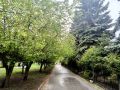 Сегодня утром в Новосибирске +19 °, к обеду воздух прогреется до +26°