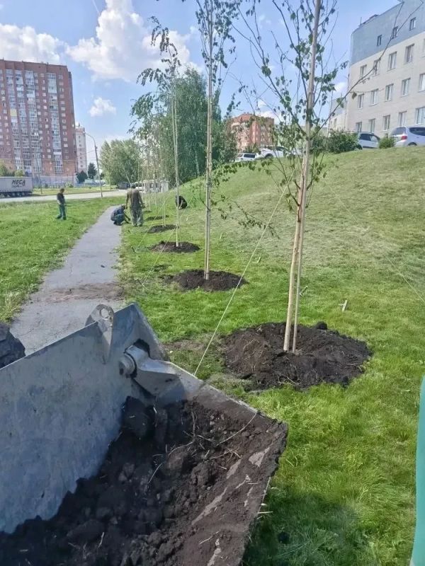 Цветущее лето в Калининском районе! Цветущее лето в Калининском районе!