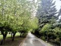 Сегодня утром в Новосибирске +19°, к обеду воздух прогреется до +26°