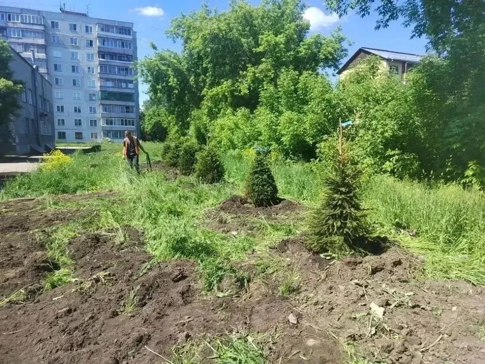 Цветущее лето в Калининском районе! Цветущее лето в Калининском районе!