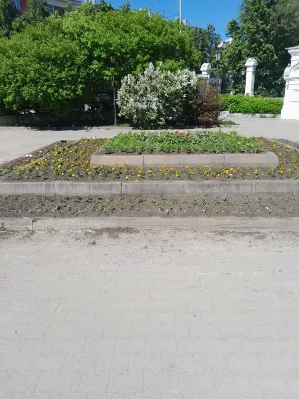 Цветущее лето в Калининском районе! Цветущее лето в Калининском районе!
