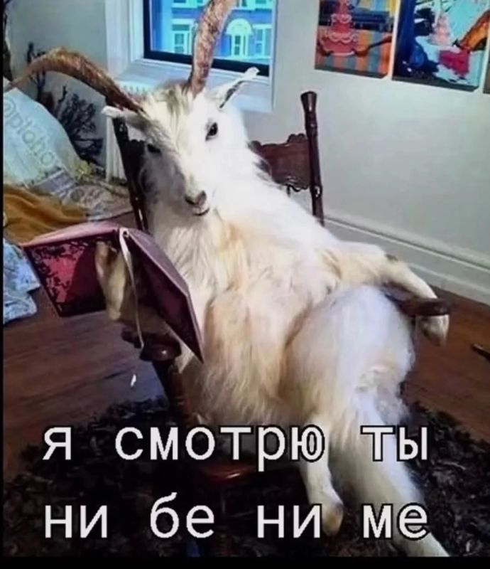 Когда пришел после выходных на работу, а начальник закидывает тебя рабочими задачами…