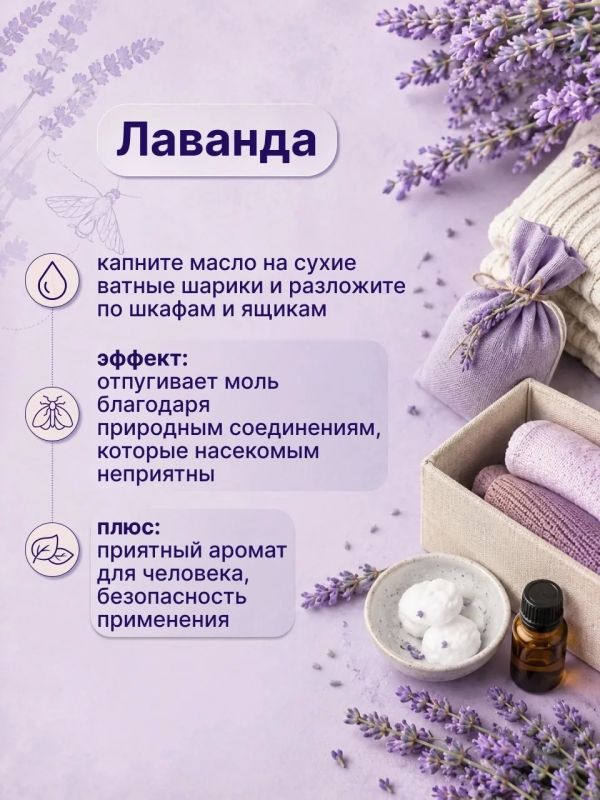 Моль? Не в моём шкафу!. Нафталин — прошлый век Моль? Не в моём шкафу!. Нафталин — прошлый век