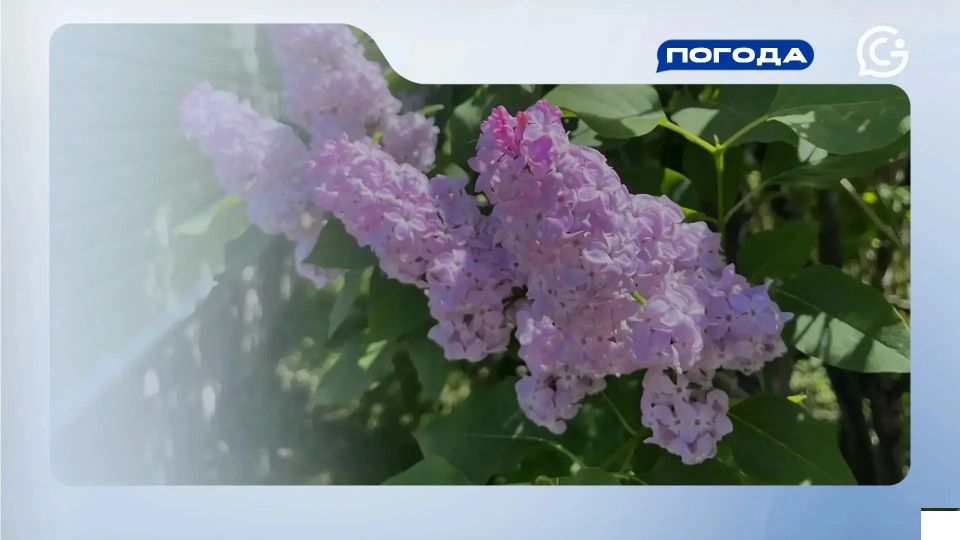 Солнце и жара. Утром ожидается солнечная погода +18°, в течении всего дня будет сухо и жарко, температура воздуха поднимется до +30°