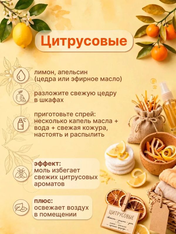 Моль? Не в моём шкафу!. Нафталин — прошлый век Моль? Не в моём шкафу!. Нафталин — прошлый век