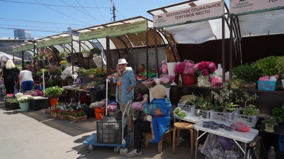 Малина вне закона: с нелегальной торговлей борются на площади Калинина Малина вне закона: с нелегальной торговлей борются на площади Калинина