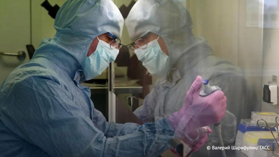 В Новосибирске разработали новый способ лечения острого панкреатита — воспаления поджелудочной железы, следует из патента, с которым ознакомился ТАСС