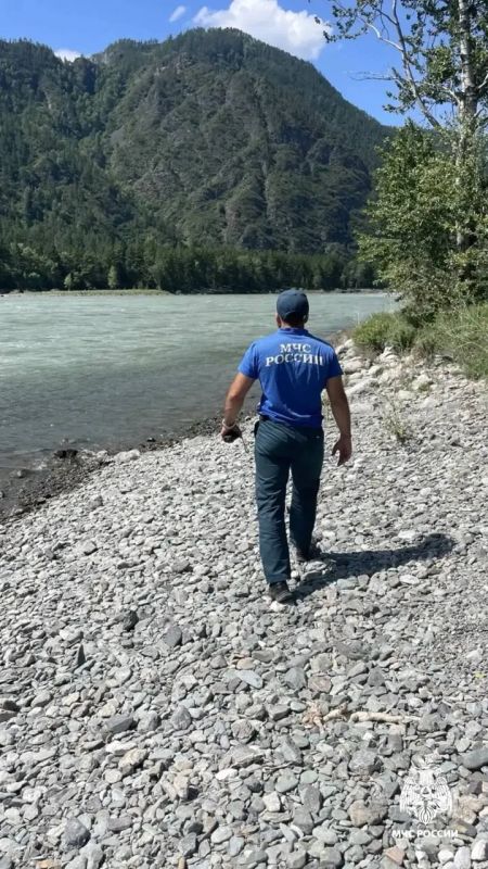 На Алтае продолжаются поиски 15-летнего юноши из Новосибирска, который сорвался с горы в Катунь во время селфи На Алтае продолжаются поиски 15-летнего юноши из Новосибирска, который сорвался с горы в Катунь во время селфи