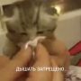 ��� ���������� �� ����� � ������������