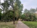 Утро среды встречает нас с +20°C, к середине дня воздух уверенно прогреется до +28°C, к вечеру температура снова опустится до +20°C