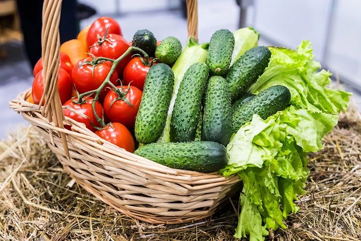 Продукты подешевели в Новосибирской области в мае-2026
