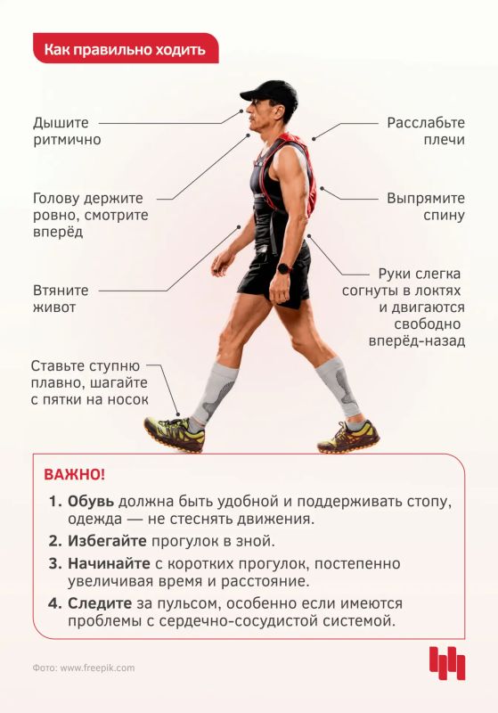 Прогулка на свежем воздухе — один из самых простых, доступных и приятных способов укрепить своё здоровье, похудеть и продлить годы жизни Прогулка на свежем воздухе — один из самых простых, доступных и приятных способов укрепить своё здоровье, похудеть и продлить годы жизни