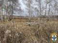 В Новосибирской области в суд направлено уголовное дело по факту незаконной рубке лесных насаждений