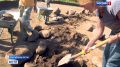 Научное приключение. Полевая археологическая школа стартовала в Новосибирске