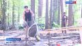 Новые подробности. Появились подробности скандальной ситуации вокруг кладбища в селе Дубровино Новосибирской области