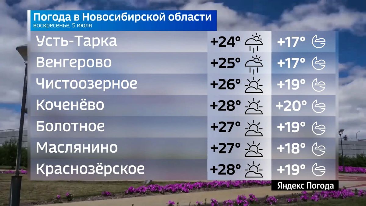 Прогноз погоды на 5 июля 2026 года в Новосибирской области Прогноз погоды на 5 июля 2026 года в Новосибирской области