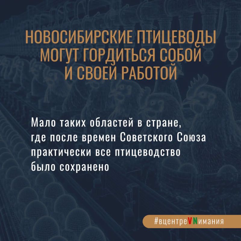 Во что обходится новосибирским сельхозпроизводителям продовольственная безопасность, сложные вопросы экологии и какая справедливая цена на куриное яйцо чтобы все были счастливы – обо всём этом смотри полною версию разговора... Во что обходится новосибирским сельхозпроизводителям продовольственная безопасность, сложные вопросы экологии и какая справедливая цена на куриное яйцо чтобы все были счастливы – обо всём этом смотри полною версию разговора...
