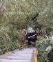 Леденящий душу ужас испытали прохожие в Новосибирске