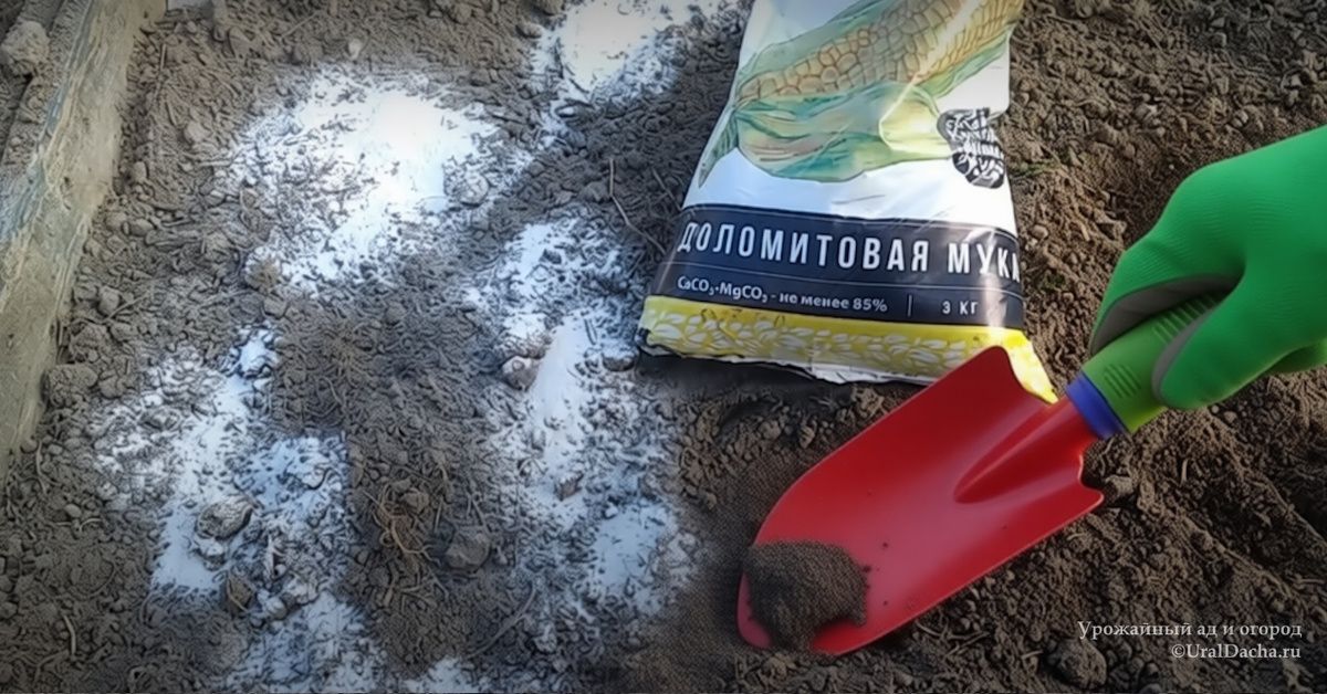 Доломитовая мука: секреты успешного земледелия и как ею правильно пользоваться