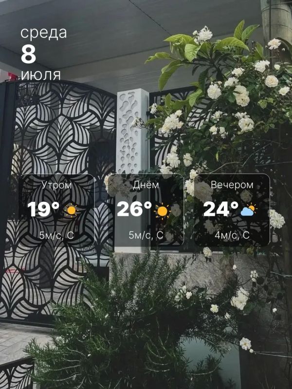 8 июля ожидается до +26° и ясная погода