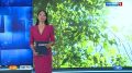 ������� ������ �����. ���� � ������������� ������� ���������� ������� �� 17 ����! ��������� �������������� ��������, � ��������� ��� ������������� � ������� ������ � �������� ������