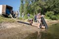 Тысячи мальков краснокнижной нельмы выпустили в Обь под Новосибирском