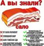 Сало в рационе: полезное лакомство или источник опасностей?