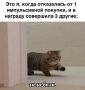 5 ������� ������, ����� �� ��������� ������������ ������� (���� ���� ����� �������)