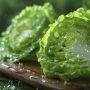 Секреты успешной посадки ранней капусты: как вырастить крепкую рассаду
