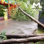 Вместе с ливнём пришёл и сильный ветер: повалило деревья, мусорные контейнеры, местами поотрывало кровлю с крыш