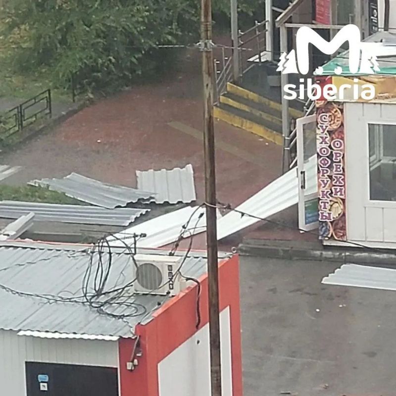 Вместе с ливнём пришёл и сильный ветер: повалило деревья, мусорные контейнеры, местами поотрывало кровлю с крыш Вместе с ливнём пришёл и сильный ветер: повалило деревья, мусорные контейнеры, местами поотрывало кровлю с крыш