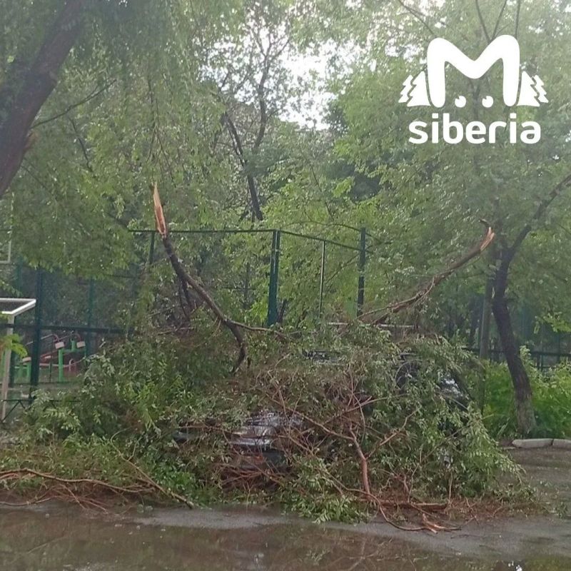 Вместе с ливнём пришёл и сильный ветер: повалило деревья, мусорные контейнеры, местами поотрывало кровлю с крыш Вместе с ливнём пришёл и сильный ветер: повалило деревья, мусорные контейнеры, местами поотрывало кровлю с крыш