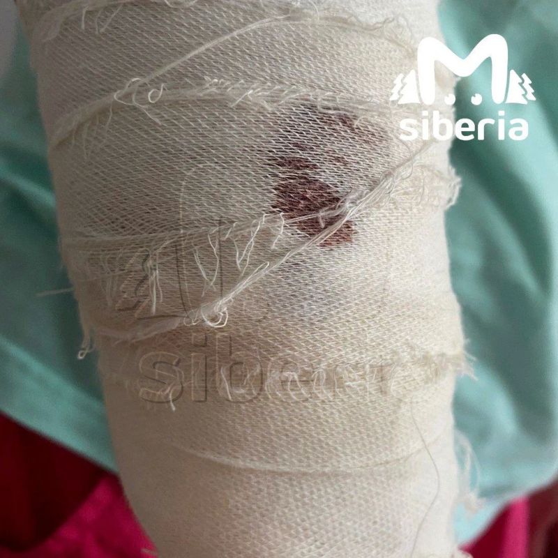 Овчарка напала на женщину у многоэтажки в Новосибирске Овчарка напала на женщину у многоэтажки в Новосибирске