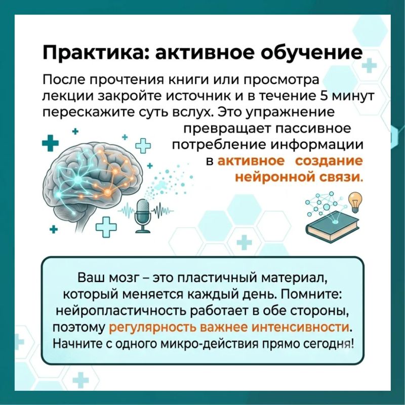 Мозг устроен невероятно красиво: это не застывший компьютер, а живая, постоянно меняющаяся экосистема Мозг устроен невероятно красиво: это не застывший компьютер, а живая, постоянно меняющаяся экосистема
