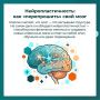 Мозг устроен невероятно красиво: это не застывший компьютер, а живая, постоянно меняющаяся экосистема