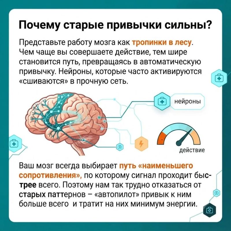 Мозг устроен невероятно красиво: это не застывший компьютер, а живая, постоянно меняющаяся экосистема Мозг устроен невероятно красиво: это не застывший компьютер, а живая, постоянно меняющаяся экосистема