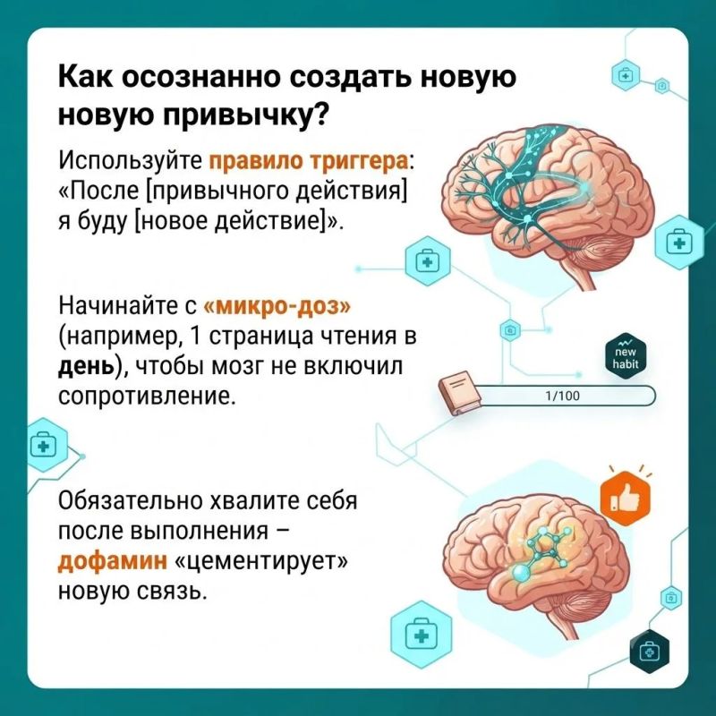 Мозг устроен невероятно красиво: это не застывший компьютер, а живая, постоянно меняющаяся экосистема Мозг устроен невероятно красиво: это не застывший компьютер, а живая, постоянно меняющаяся экосистема