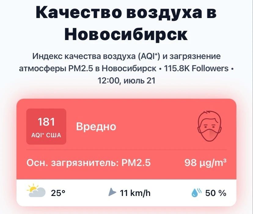 Новосибирск снова накрыло дымом