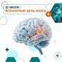 22 июля – Всемирный день мозга