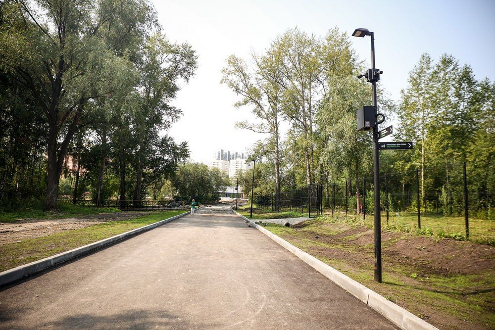 Благоустройство парка «Каменка» планируют завершить к сентябрю Благоустройство парка «Каменка» планируют завершить к сентябрю