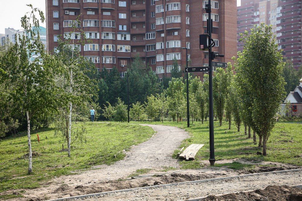 Благоустройство парка «Каменка» планируют завершить к сентябрю Благоустройство парка «Каменка» планируют завершить к сентябрю