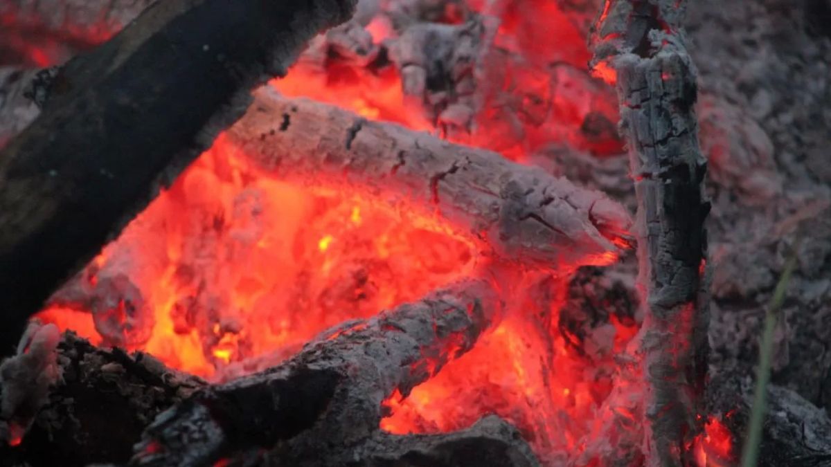 В Новосибирской области усилили меры против лесных пожаров