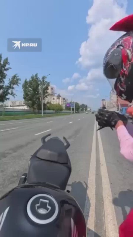 Байкерша из Новосибирска спасла дятла с черепно-мозговой травмой