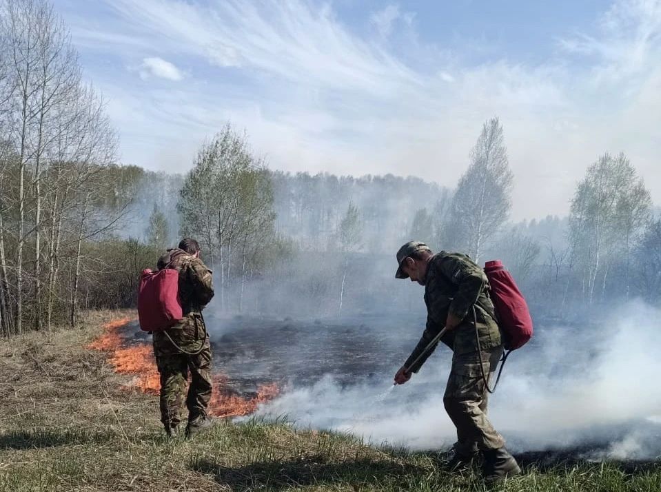 Андрей Травников: В Новосибирской области сохраняется напряженная пожароопасная обстановка Андрей Травников: В Новосибирской области сохраняется напряженная пожароопасная обстановка