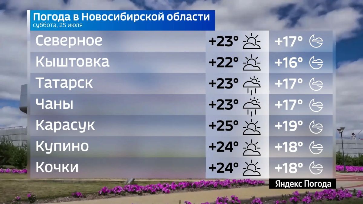 Прогноз погоды на 25 июля 2026 года в Новосибирской области Прогноз погоды на 25 июля 2026 года в Новосибирской области
