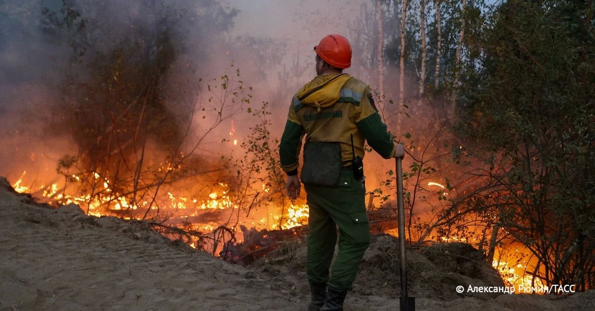 Новый пик пожароопасности в Сибири ожидается в августе — сентябре, несмотря на нынешний спад числа пожаров в Красноярском крае и Томской области