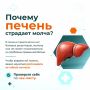 Печень — это сложнейшая биохимическая лаборатория, которая работает 24/7